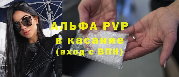 хмурый Корсаков