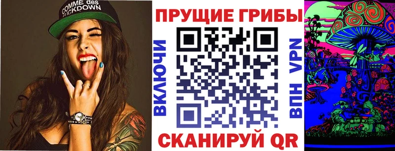 Купить закладки  Малоярославец  Галлюциногенные грибы мицелий 